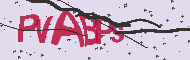 Captcha認証コード